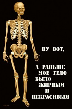 105. Плакат для офиса: Ну вот, а раньше мое тело было жирным и некрасивым