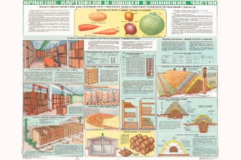 1282. Военный ретро плакат: Хранение картофеля и овощей в воинских частях