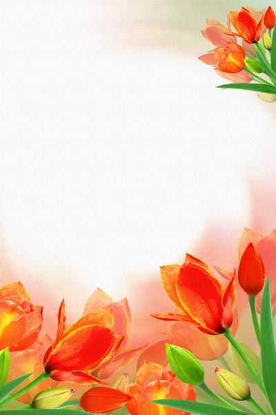 Тюльпаны, рамка Свежие весенние тюльпаны цветы с пространством для текста на деревянном фоне